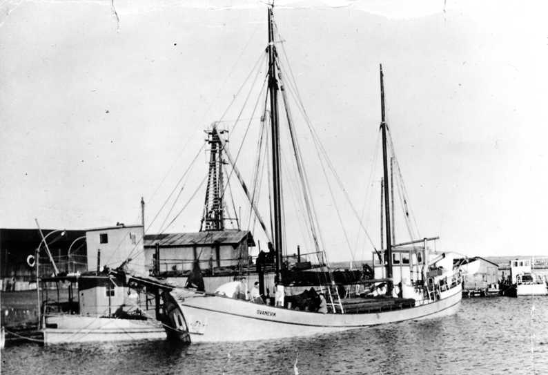 SVANEVIK_full-loaded_in_Kalmar_harbour